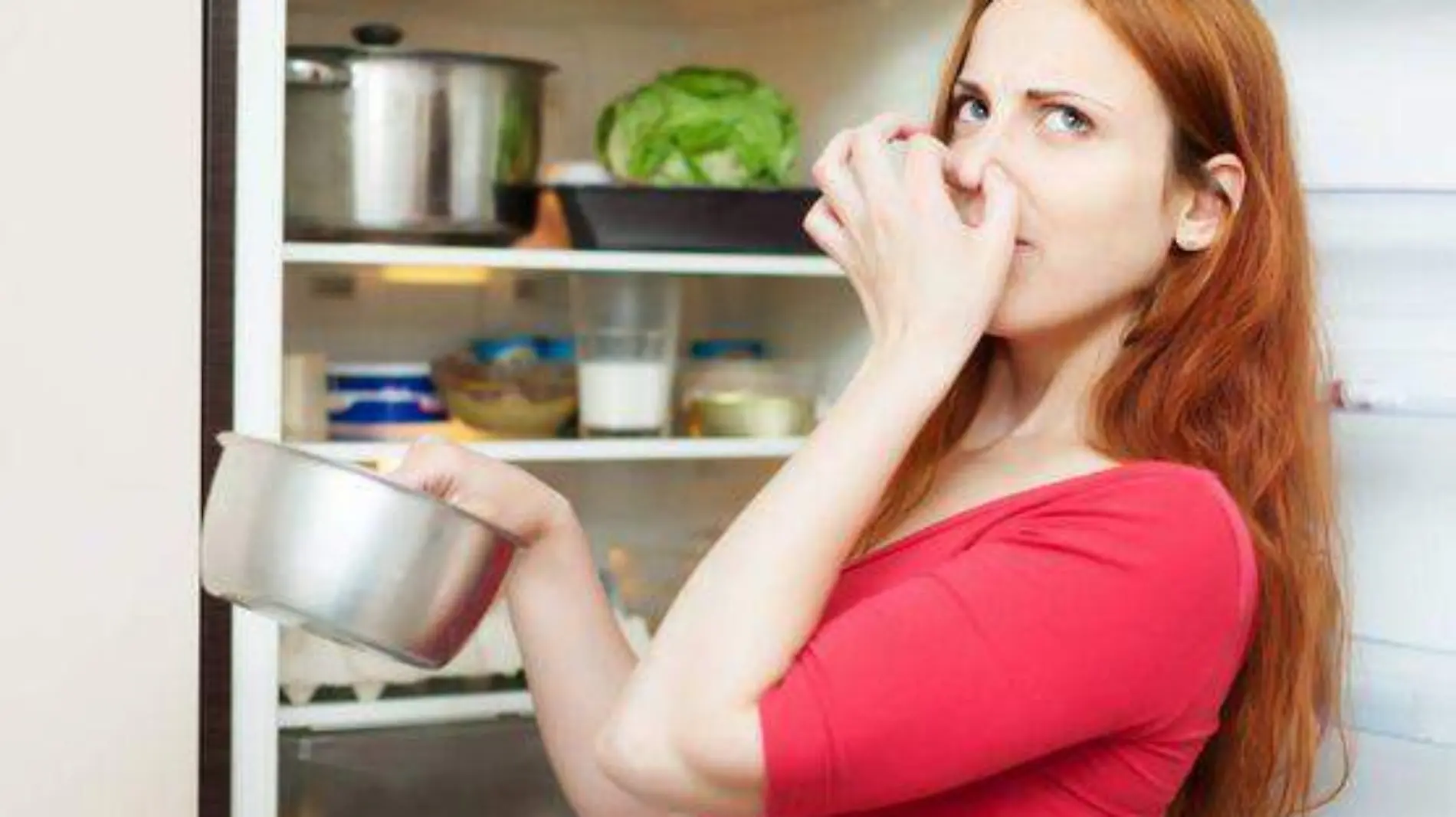 Conoce el botón secreto del refrigerador para evitar agua acumulada y malos olores